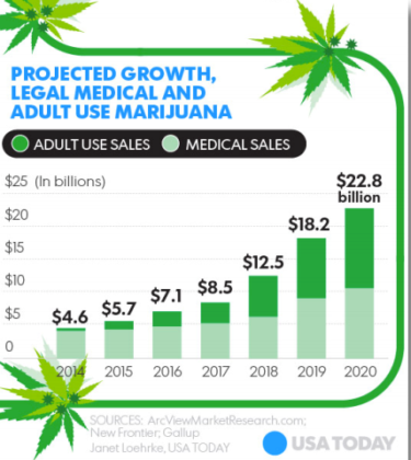 Projected growth legal medical and adult use marijuana