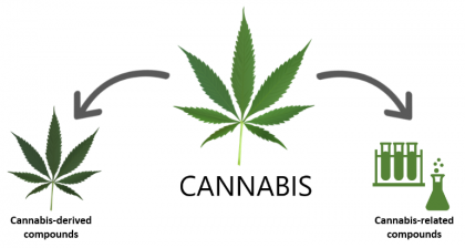 FDA and Cannabis